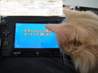 Illustration for article titled Cats Are Very Serious about Video Games